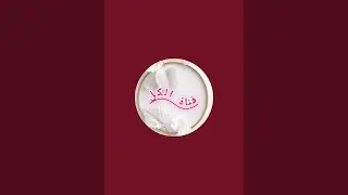 بدأت قناة 