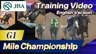 2025 Mile Championship  (G1) Training Video | JRA Official [ENG sub] マイルチャンピオンシップ 調教VTR（英語版）