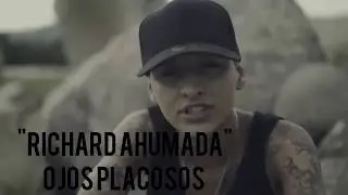 Top 15 Mejores Canciones De Richard Ahumada