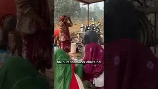 गाँव का Teamwork| मिलकर काम करने की असली ताकत | Village Life Mini Vlog 🌾#ytshorts