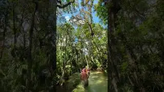 Need weekend plans ? We got you! Come on a 2 hour guided adventure in Dunnellon, FL and explore the