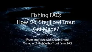 Fishing FAQ: How Do Sterilized Trout Get Made?