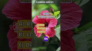 🌼 Flower Quiz Challenge #:1 Can You Name Them All? 🌷