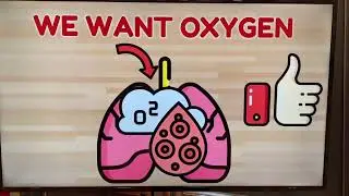 Heart Adventure Obstacle Course - K-2 Cognitive Content