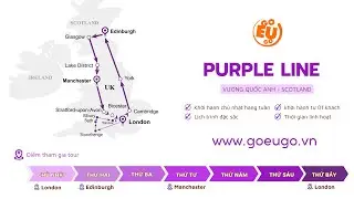 [GOEUGO] PURPLE LINE C&Oacute; G&Igrave;?