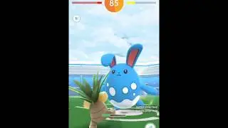 Weather boosted Azumarill (rock smash/play rough) solo