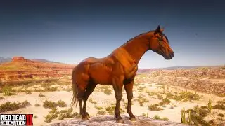 American Quarter Horse Mod - Light Bay Coat by MDBranth | RDR2