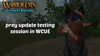 prey update testing session in WCUE (Warrior Cats: Ultimate Edition Roblox)