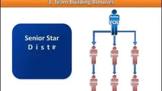 Team Sequoia Presentation