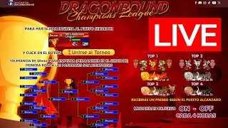 Dragonbound Champions League 15/03/25 - Puras merkas :v