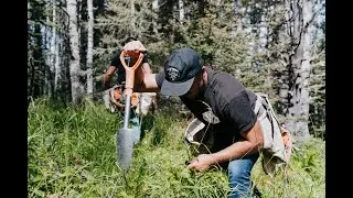 1 Million Planted - Brewing A Greener Future
