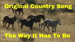 The Way It Has to Be  - Country Original Song - Cover by Forrest