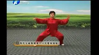 美女演练的陈式太极拳精要十八式   真的好精彩！