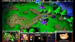 [HD.WC3#142] Fly vs HawK - OvH - Finale Zotac 263 Game 3 - Warcraft 3 Replay [FR]