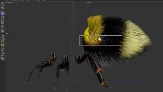 Toolbag hair dynamics