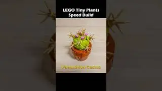 LEGO 10329 Tiny Plants Speed Build - Pincushion Cactus #lego #speedbuild #stopmotion #toys