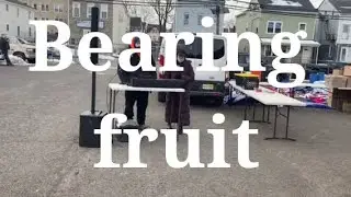 Bearing fruit
