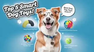 Top 5 Dog Toys for Mental Stimulation: Keep Your Pup Engaged!
