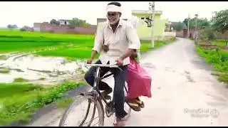 Vilg comedi