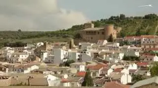 Production of extra virgin olive oil in Castillo de Canena
