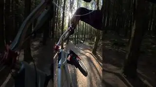 Popty Ping - Bike Park Wales