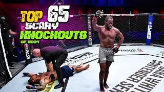 Top 65 CRAZY Knockouts Of All 2024 | Brutal MMA