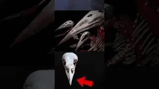бог смертельных случаев на дороге &mdash; САССИ #шорты #Треворхендерсон