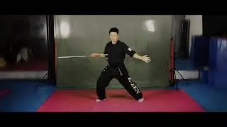 Maestro Dong Hun Choi / Hyper HangulDo Martial Arts / Hapkido /