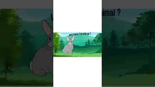 🎵 Enjoy this fun and friendly kids video from KiddoKittens!