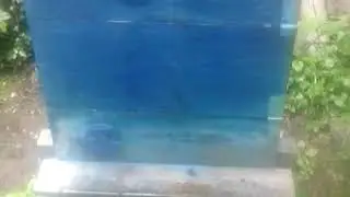 Живия умрял иска трети магазин май