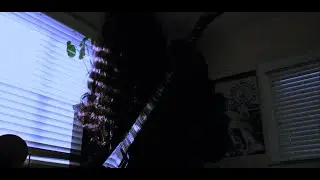 distorted shoegaze riff to clean looper solo