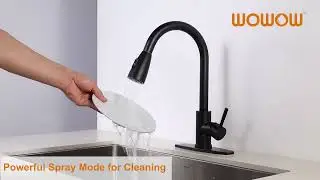 WOWOW Matte Black Single Hole Kitchen Faucet with Sprayer