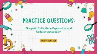 Eukaryotic Cells - Practice Quiz