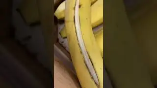 Banana 🍌 rip wow 🤩 #wow #banana #sprite #soft