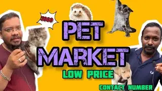 Exploring funniest pet market | தமிழ் | SUNDAY MARKET