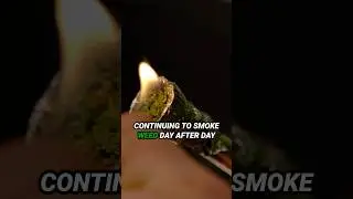 Stop Smoking Weed Everyday, It&rsquo;s Not Worth It