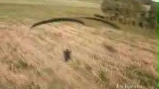 Paramotor - Team 
