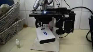 Autofocus Test on the Hospital's TB Laboratory - Video Log 26