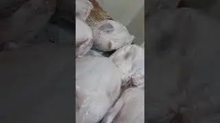 بط بسعر الفرخه شارع الخصوص العمومي بجوار محل سينس مان للملابس دقيقه من قسم الخصوص01145049963
