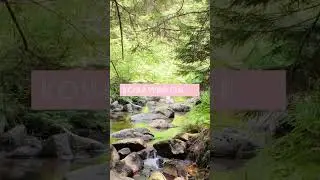 River sound  and Koshi Wind Chime    #relax#meditacion#healingsound #calmmind #riversound #koshi