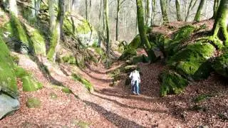ZUID EIFEL 1   Irrel