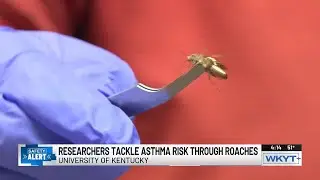 UK researchers receive $1 million to study cockroach control in affordable housing