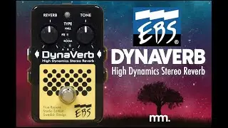 MusicMaker Presents - EBS DYNAVERB - Studio Grade, High Quality Dynamic Reverb For BASS or KEYBOARD!