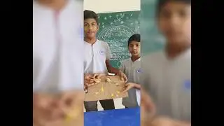 Electric current on Potato