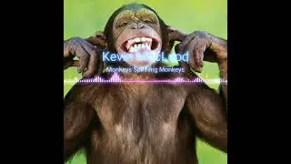 Kevin MacLeod - Monkeys Spinning Monkeys [Copyright Free Music]