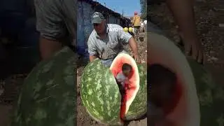 ИИ НАЧИНАЕТ БЫТЬ РАСИСТОМ!? 😂😂😂 #голосзакадровый