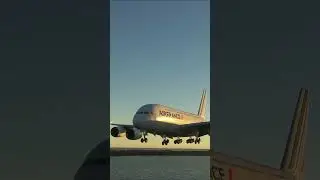 Plane Emergency Landing #plane #avaition #trending