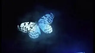 Rina - E kalume (slowed down)