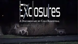 The Exclosures | Nature Documentary, Short Film by Cole Rosenthal