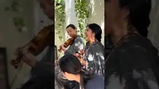 Coco - Vaivén Jarana
